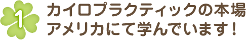カイロプラクティックの本場アメリカにて学んでいます!